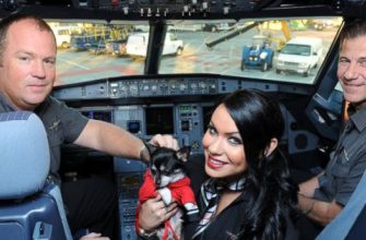 Dog Flight With Pilot