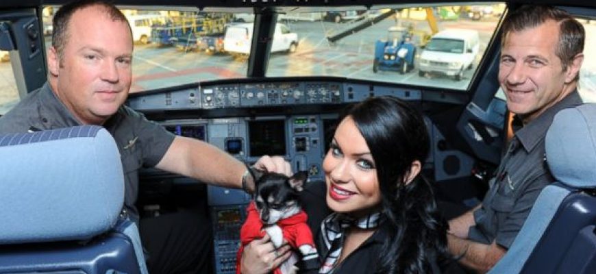 Dog Flight With Pilot