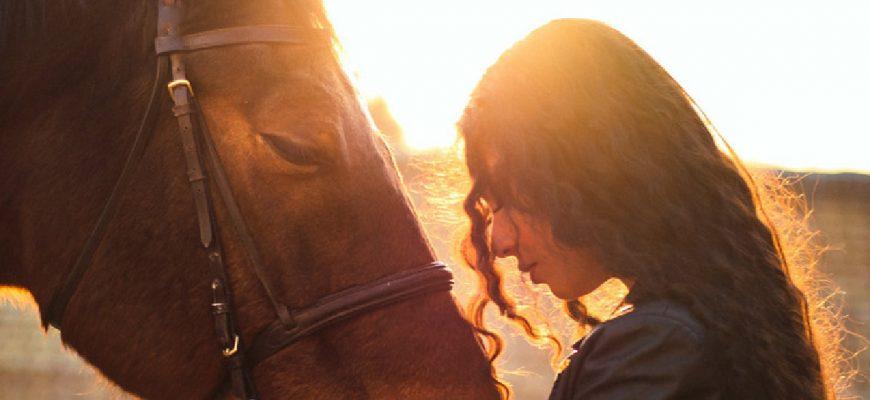 Horse's Compassion,Woman Saved Horse's Life