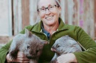 This woman cute baby wombat is named Elsie, and she was rescued from her dead