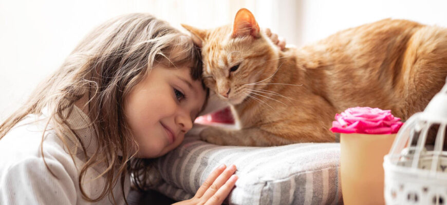 "Cat insurance -Photo by Yuliya Taba at getty images"