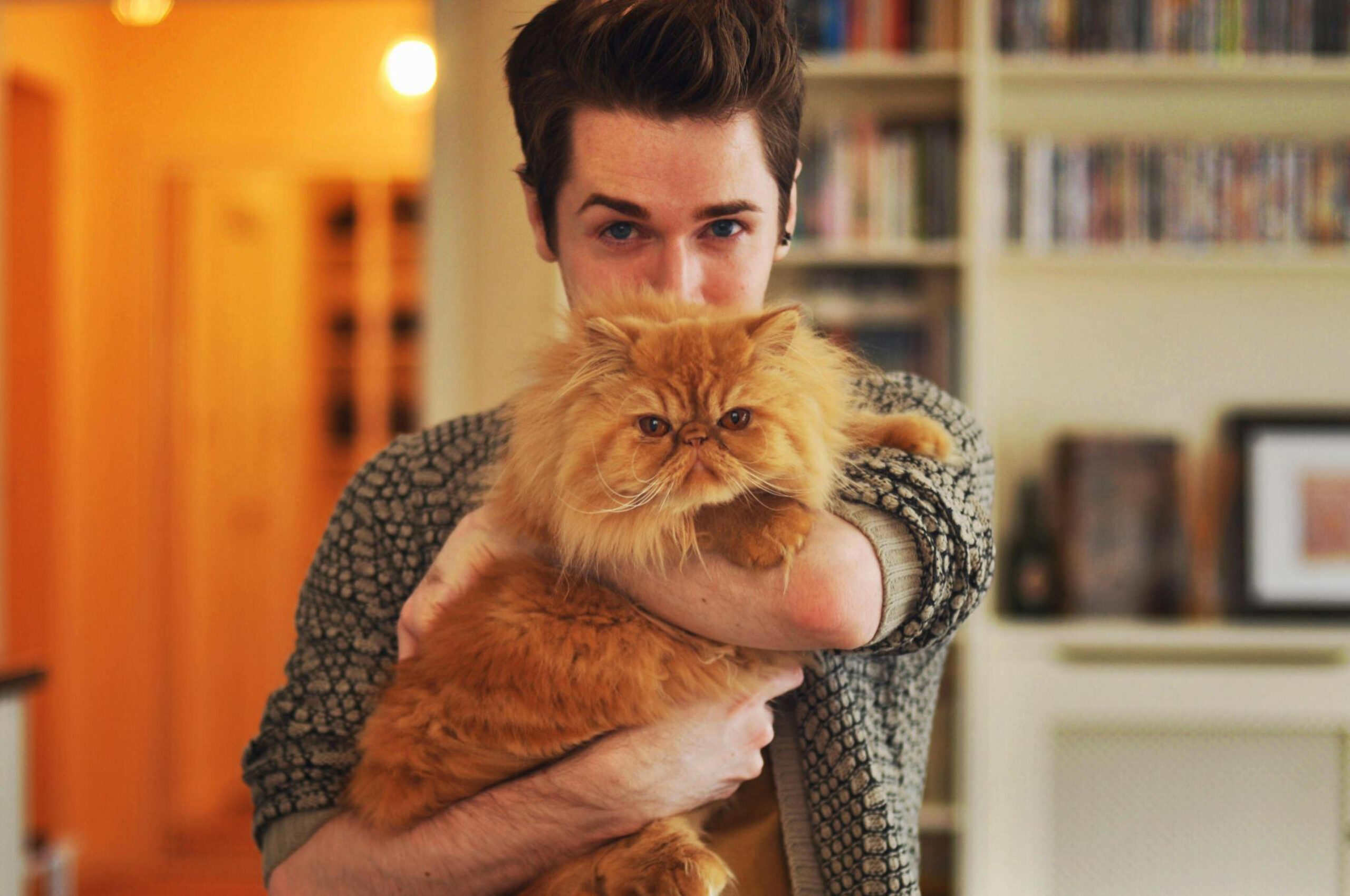 "Young man with brown hair holding a fluffy ginger Persian cat - Photo by Mark Liddell at getty images" 