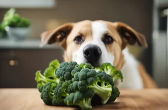 broccoli is safe for most dogs