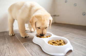 Freeze-dried raw Dog Food offers superior nutrient retention