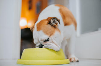 Royal Canin Bulldog Adult Dog Food is a breed-specific diet formulated to help medium breeds thrive.